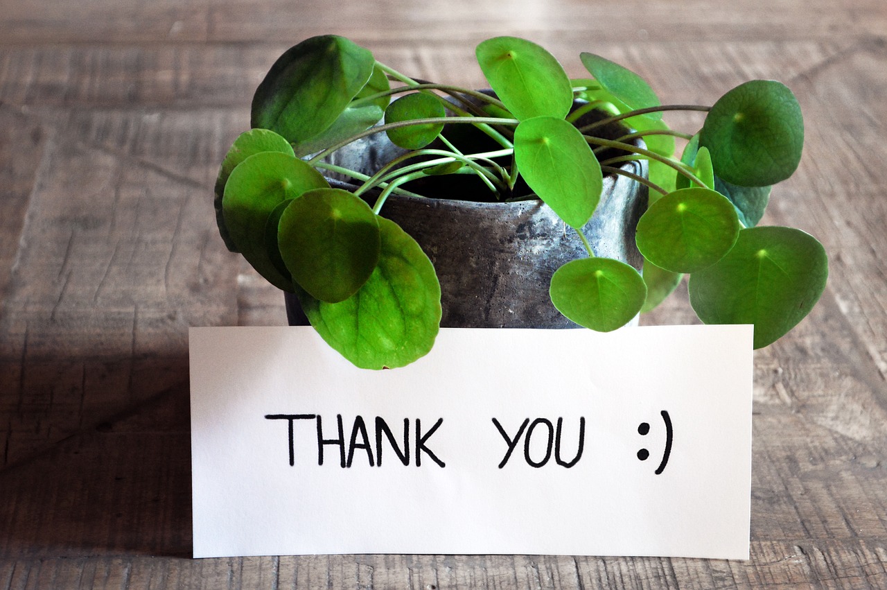 thank you, thank you card, table, plant, pot, modern, wooden table, nature, feedback, map, write, ballpoint pen, greeting card, greeting, communication, post office, news, information, smiley, good mood, positive, english
